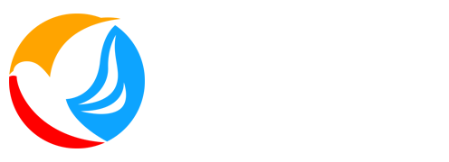 新动传媒
